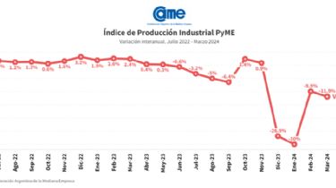 Informe de CAME: La actividad de las PYMES cayó casi un 12% en marzo