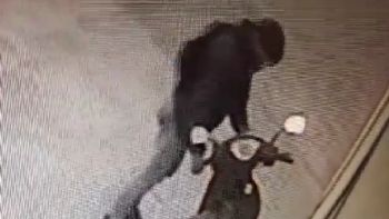 Video: Cámara de seguridad capta el momento en el que se roban una moto