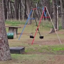 Video: Una hamaca se columpia sola en el Parque Miguel Lillo