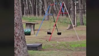 Video: Una hamaca se columpia sola en el Parque Miguel Lillo