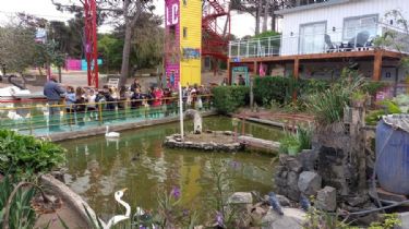 El Concejo Deliberante reconoció el valor cultural y educativo del nuevo lago de los cisnes
