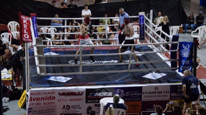 Gran festival de boxeo en Necochea: Más de treinta boxeadores locales en acción