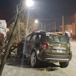 Una conductora perdió el control de su camioneta y destrozó árboles y una reja
