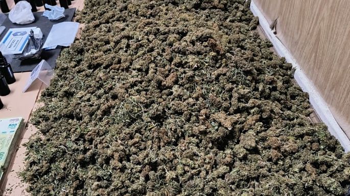 Secuestraron 6 kilos de flores de marihuana en un allanamiento en Quequén