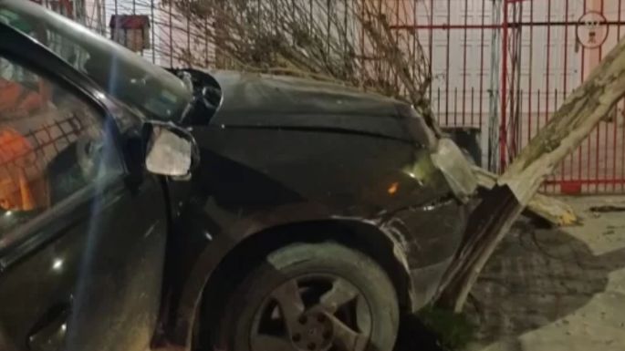 Una conductora perdió el control de su camioneta y destrozó árboles y una reja