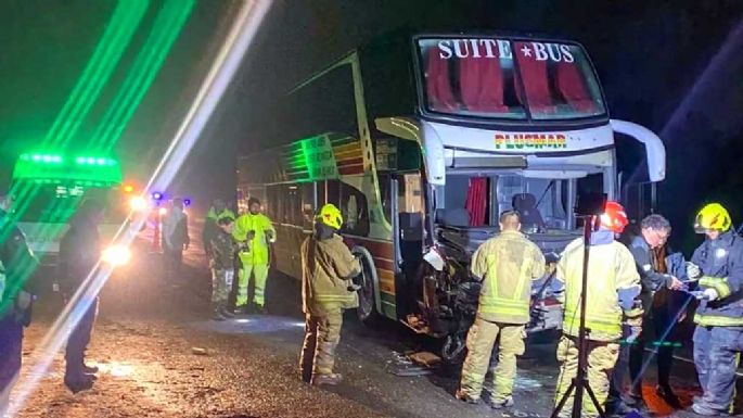 Accidente en Ruta 3: Ómnibus chocó con animales sueltos y dejó un herido