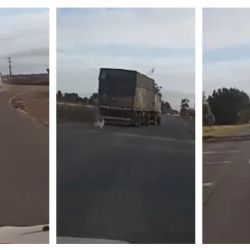 Pánico en la Ruta 227: Filmaron a un transportista manejando completamente ebrio