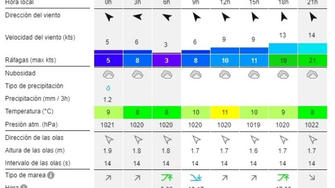 Reporte de olas para las playas de Necochea y Quequén este domingo 18-08