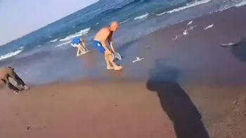 Video: Cientos de peces invadieron la playa de Quequén