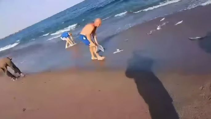 Video: Cientos de peces invadieron la playa de Quequén